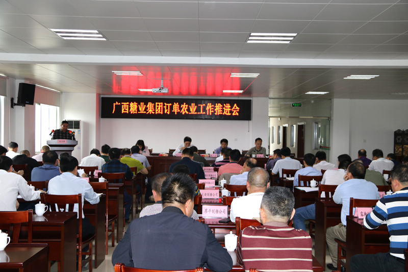 ������ʱ�������ǲ� -������ҳ