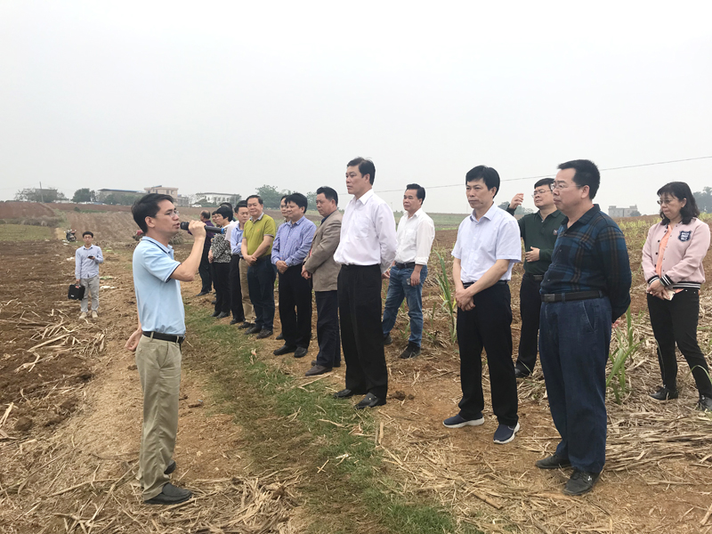 ������ʱ�������ǲ� -������ҳ