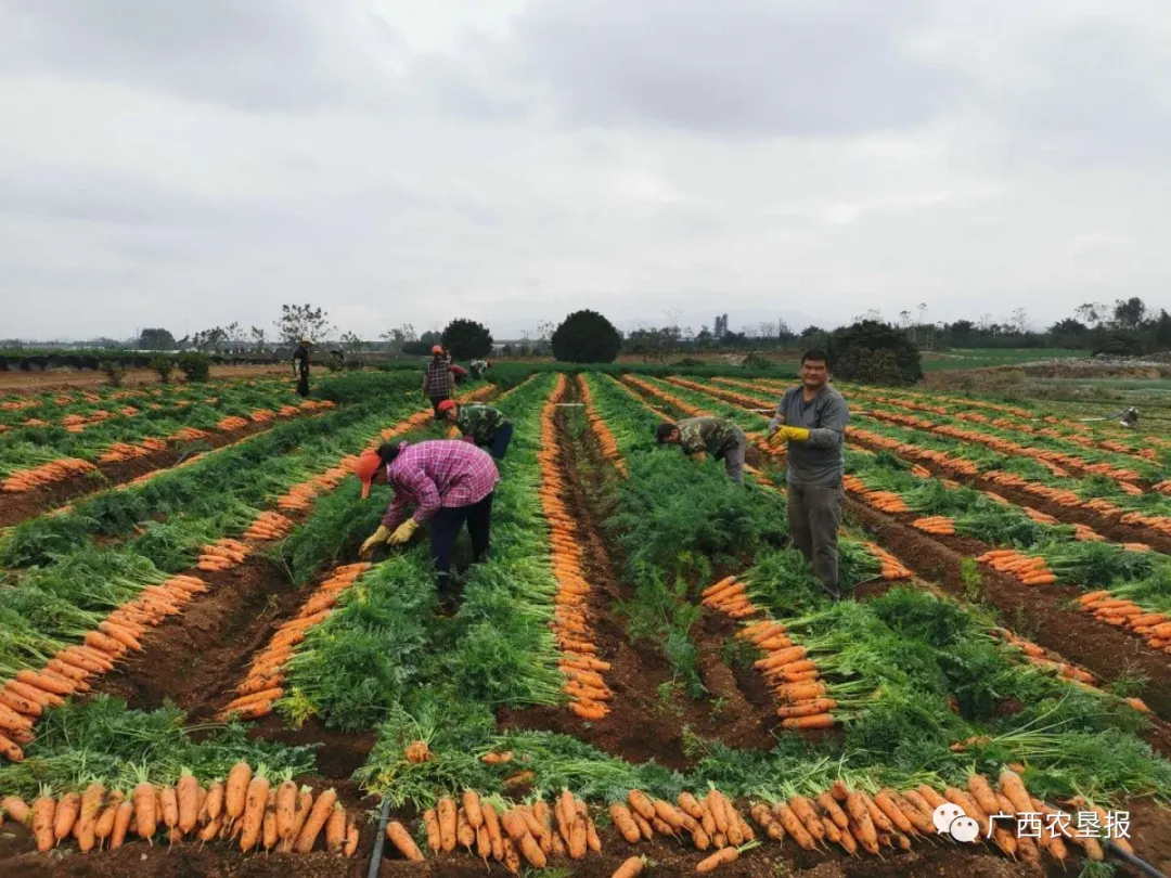 1583206986241408.jpg 1583204745.jpg